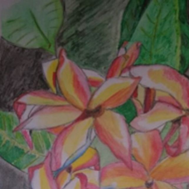Pu'u Kahea - A Gift From Nature....Hawaiin Art At It's Best