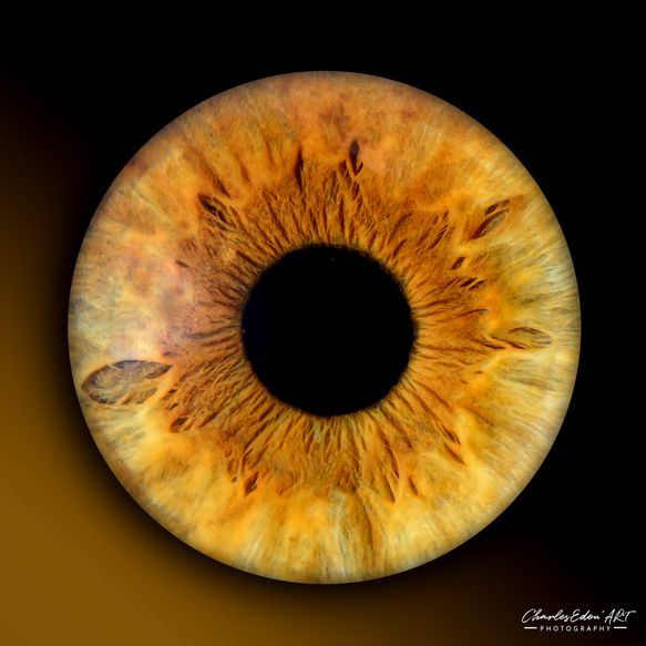 CharlesEdou'ART Photographe Namur iris oeil yeux sur mesure