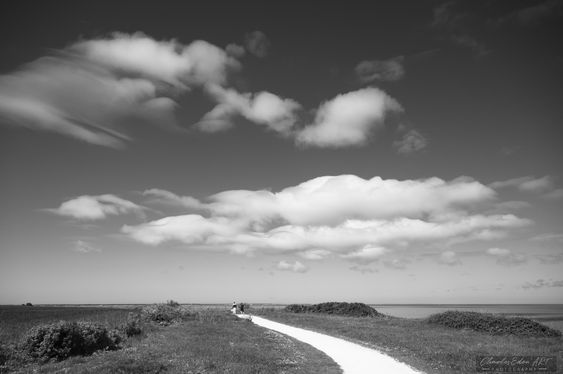 _CEG9154