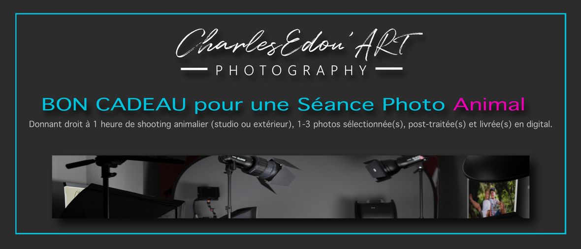 carte_cadeau_shooting_1h_animal
