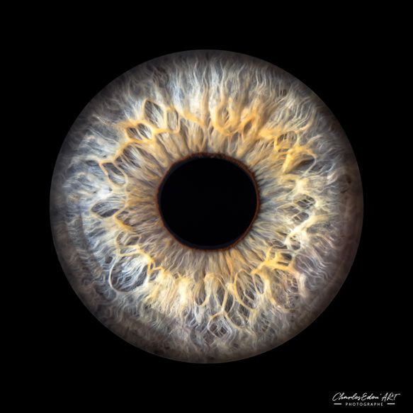 CharlesEdou'ART Photographe Namur iris oeil yeux sur mesure