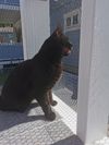 IMG_20210602_103109