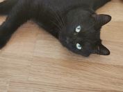 IMG_20210602_105721