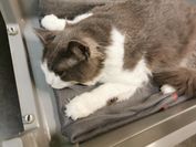 IMG_20210601_085033
