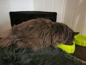 IMG_20210530_122122