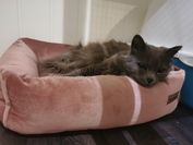 IMG_20210603_194433