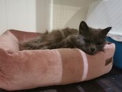 IMG_20210603_194435