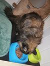 IMG_20210518_162255