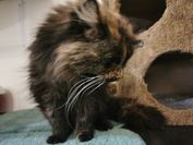 IMG_20210518_163032