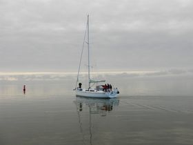 Wadden 2019