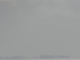Wadden 2019