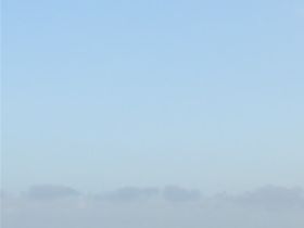 Wadden 2019