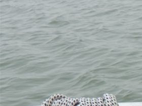 Wadden 2019