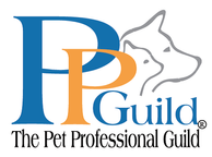 Dog Trainer Professional