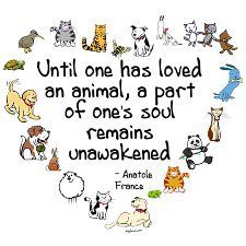 When one has loved