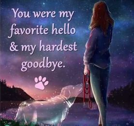 You were my favourite