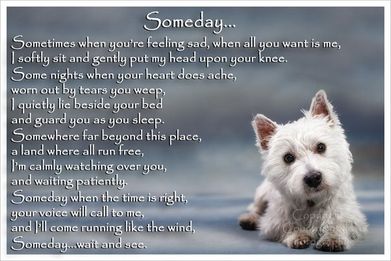 SOMEDAY