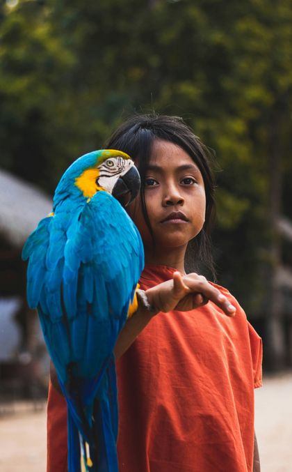 Young girl with her pet parrot showing a uniquely bonded relationship