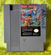 Wizards & Warriors