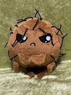 Teddy