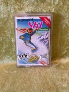 Profesional Ski Simulator