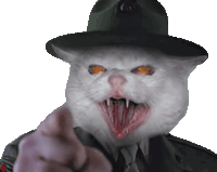 angry-cat-meme-angry-cat