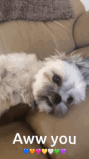 aww-you-cute