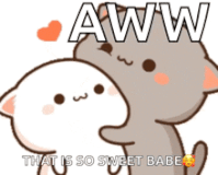 cute-cat-love (1)