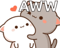 cute-cat-love