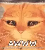 puss-in-boots-eyes
