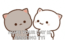 yes-my