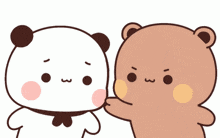 dudu-touching-bubu-face-couples