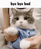 bad-bye-bad-dimden