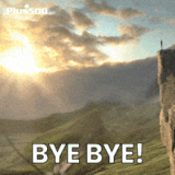 bye-bye-goose