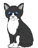 chat (109)