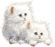 chat (110)