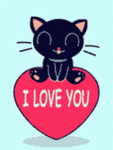 chat (121)