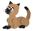 chat (122)
