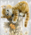chat (127)