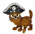chat (134)