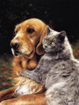 chat (151)