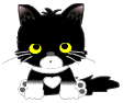 chat (160)