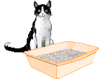 chat (165)