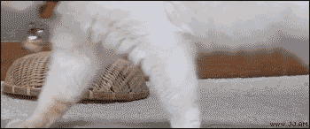chat (17)
