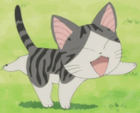 chat (53)