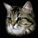 chat (69)
