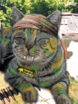 chat (83)