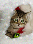 chat (90)