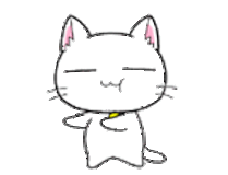 chat (91)