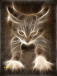 chat (96)
